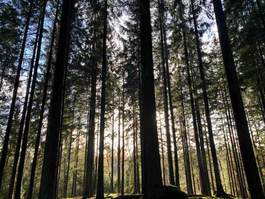 Panoramavy Naera Gbg Och Natur Olofstorp Kültér fotó
