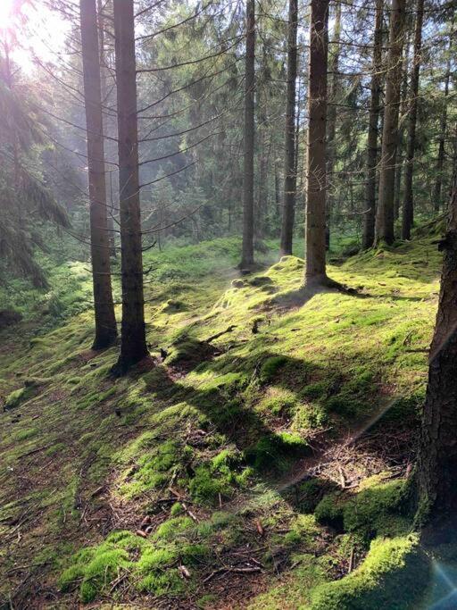 Panoramavy Naera Gbg Och Natur Olofstorp Kültér fotó
